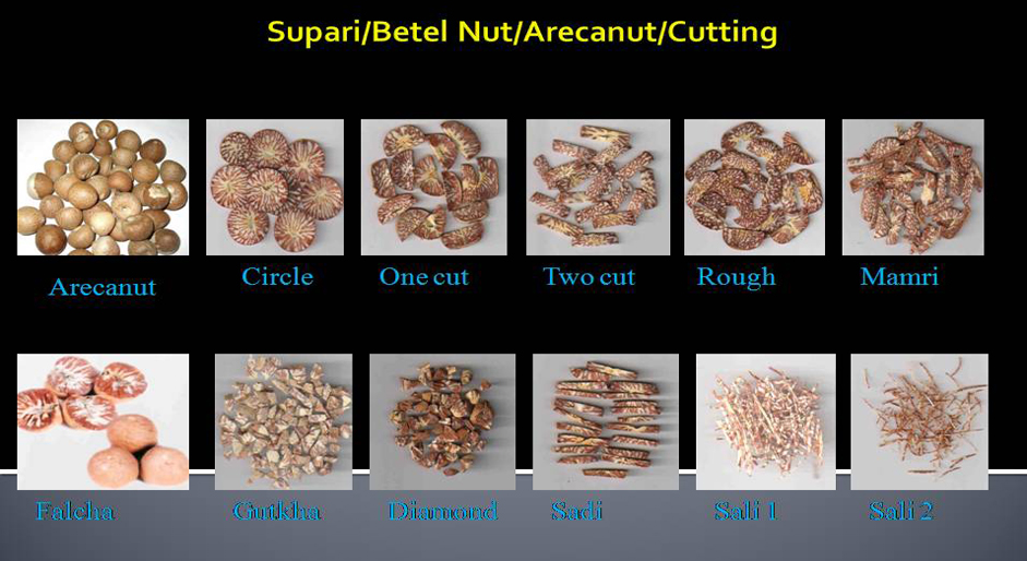 DARSHAN ENTERPRISE - ALL TYPE OF BETAL NUT (SUPARI), ARECA NUT AND  SUPARI CUTTINGS TRADERS WHOLESELAR IN INDIA.